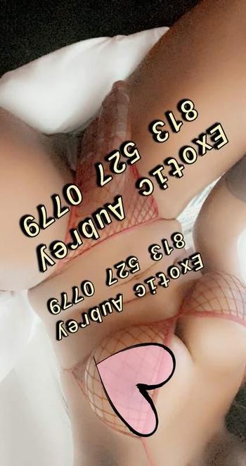 8135270779, transgender escort, Beaumont